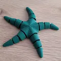 Mô hình sao biển khớp nối linh hoạt in 3D (Articulated Flexi Seastar) - Thumbnail 2