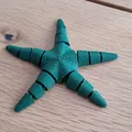 Mô hình sao biển khớp nối linh hoạt in 3D (Articulated Flexi Seastar) - Thumbnail 3