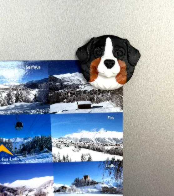 Nam châm tủ lạnh hình đầu chó Bernese Mountain Dog - Image 1