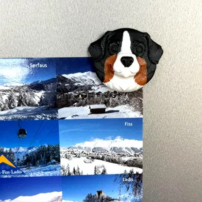 Nam châm tủ lạnh hình đầu chó Bernese Mountain Dog