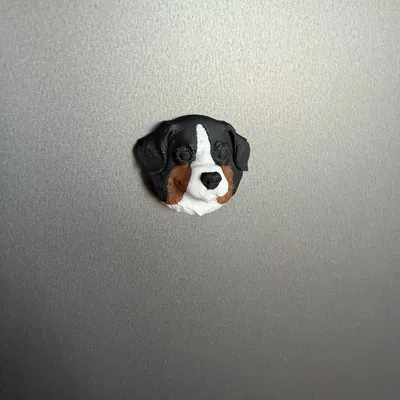 Nam châm tủ lạnh hình đầu chó Bernese Mountain Dog