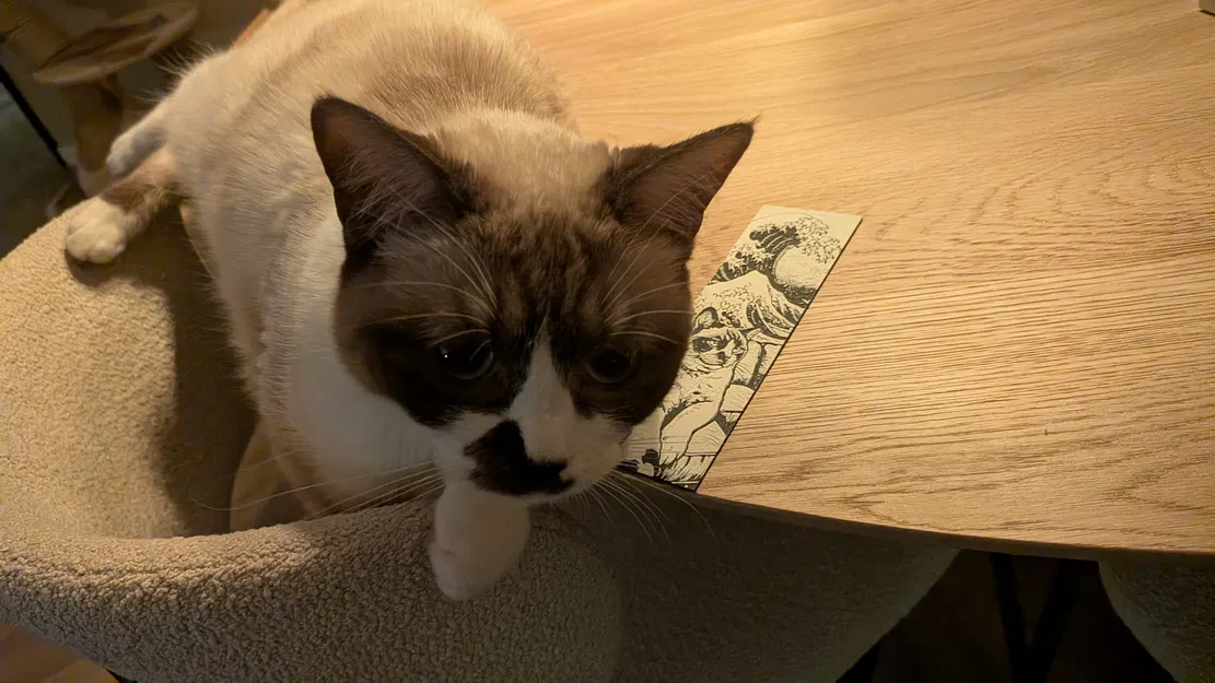 Bookmark chú mèo "Sóng lừng Kanagawa" - Image 3