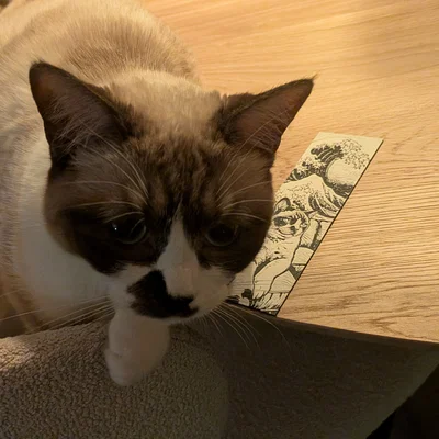 Bookmark chú mèo "Sóng lừng Kanagawa"