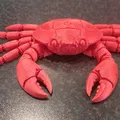 Mô hình cua khớp nối linh hoạt in liền khối (Articulated Crab Fidget Toy) - Thumbnail 2
