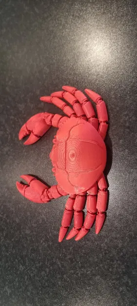 Mô hình cua khớp nối linh hoạt in liền khối (Articulated Crab Fidget Toy) - Image 3
