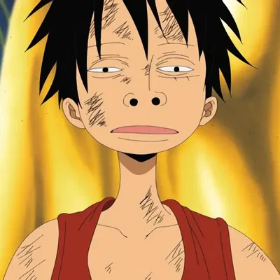 Mô hình tranh treo tường Luffy Baka Face độc đáo cho fan One Piece