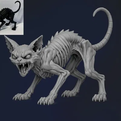 Mèo Gầy Đáng Sợ (Creepy Skinny Cat)