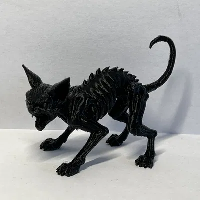 Mèo Gầy Đáng Sợ (Creepy Skinny Cat)