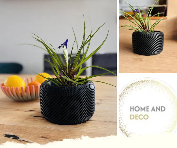 Chậu cây thiết kế hiện đại (Flowerpot) cho không gian sống thêm sang trọng - Image 1