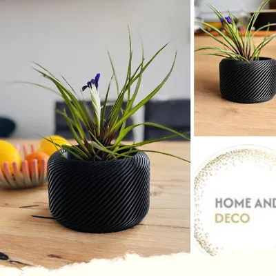 Chậu cây thiết kế hiện đại (Flowerpot) cho không gian sống thêm sang trọng