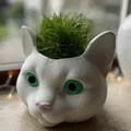 Chậu trồng cỏ cho mèo - Hình đầu mèo ngộ nghĩnh - Thumbnail 1