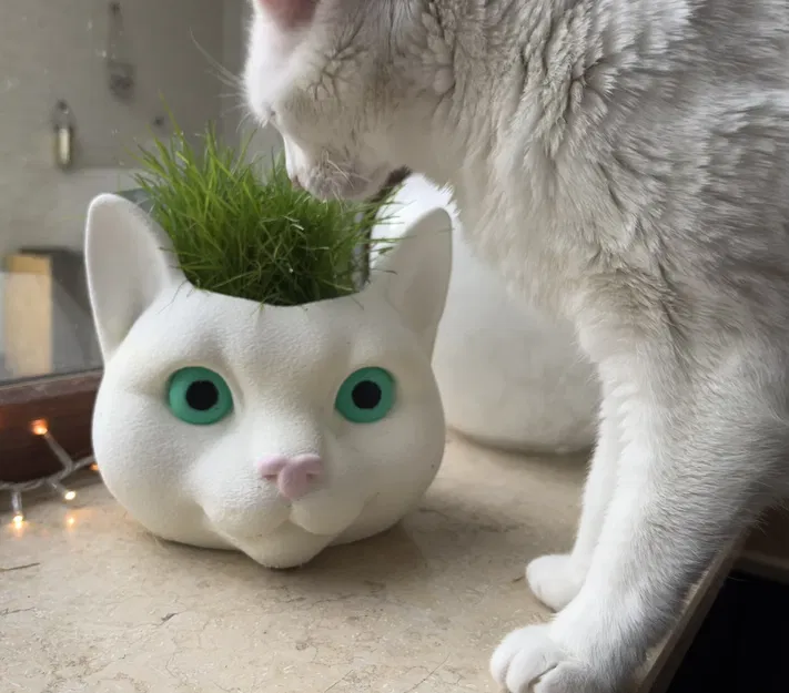 Chậu trồng cỏ cho mèo - Hình đầu mèo ngộ nghĩnh - Image 2