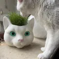 Chậu trồng cỏ cho mèo - Hình đầu mèo ngộ nghĩnh - Thumbnail 2