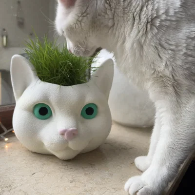 Chậu trồng cỏ cho mèo - Hình đầu mèo ngộ nghĩnh
