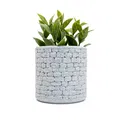 Chậu cây hình tròn họa tiết vân đá (Stone Wall Planter Round) - Thumbnail 3