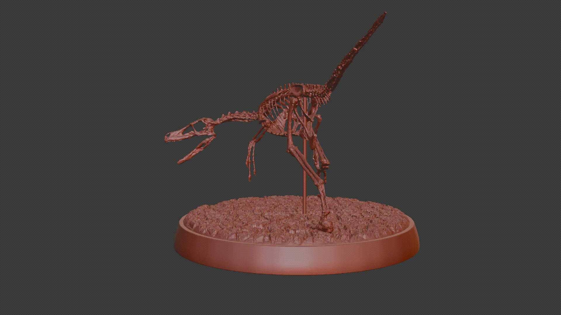 Mô hình 3D bộ xương hóa thạch Velociraptor trang trí bàn làm việc - Image 1