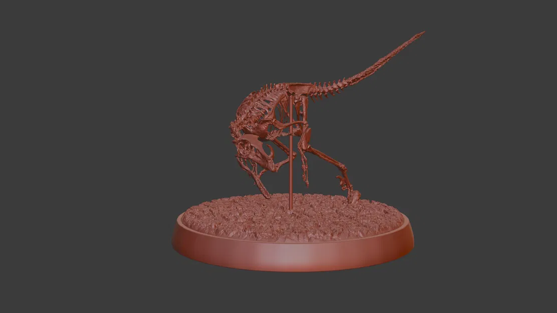 Mô hình 3D bộ xương hóa thạch Velociraptor trang trí bàn làm việc - Image 2