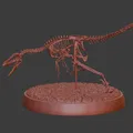 Mô hình 3D bộ xương hóa thạch Velociraptor trang trí bàn làm việc - Thumbnail 4
