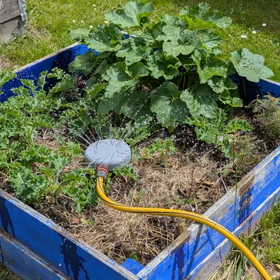 Vòi tưới cây cho sân vườn