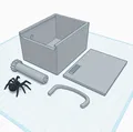 Hộp Nhện Bất Ngờ (Scare Spider Box) - Mô hình 3D giải trí cực vui - Thumbnail 4