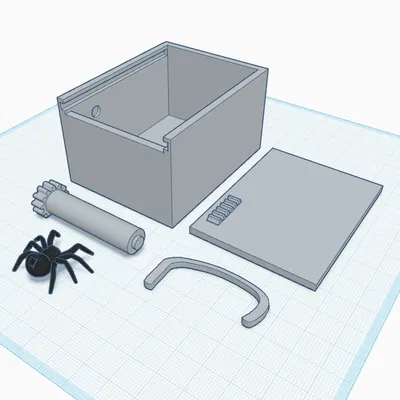Hộp Nhện Bất Ngờ (Scare Spider Box) - Mô hình 3D giải trí cực vui