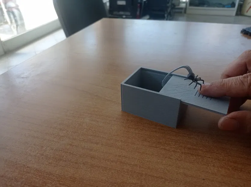Hộp Nhện Bất Ngờ (Scare Spider Box) - Mô hình 3D giải trí cực vui - Image 6