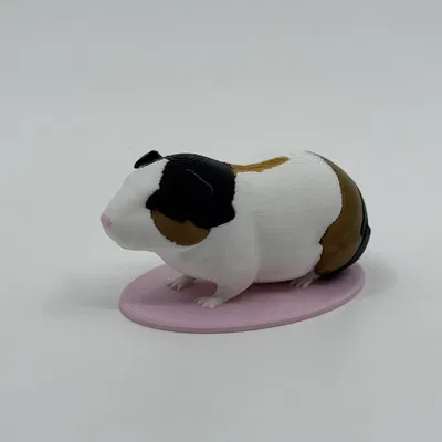 Mô hình chuột lang (Guinea Pig) dùng trong giáo dục