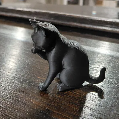 Mô hình nghệ thuật mèo đen hiện đại