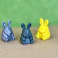 Chú Thỏ Tròn Trĩnh (Chubby Rabbit) - Mẫu in 3D cực xinh và dễ in - Thumbnail 2