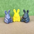 Chú Thỏ Tròn Trĩnh (Chubby Rabbit) - Mẫu in 3D cực xinh và dễ in - Thumbnail 4