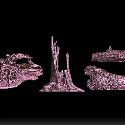 Gốc cây và khúc gỗ chân thực: mô hình địa hình quét từ vật thể thật