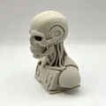 Tượng Bán Thân Đầu Lâu Cơ Khí (Cybernetic Skull Bust) - Thumbnail 2
