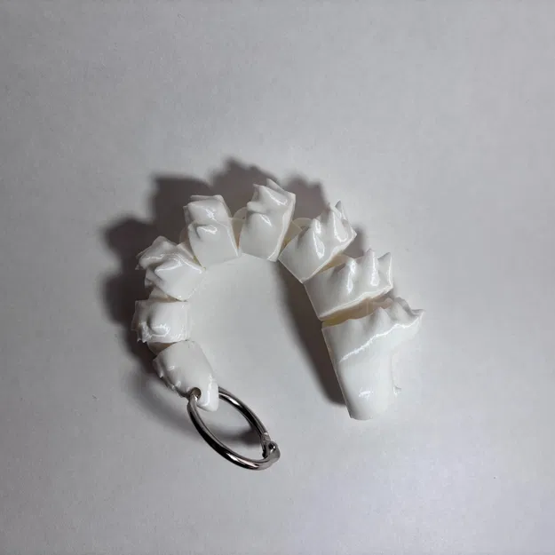 Mô hình Rồng khớp nối dễ thương (Print-In-Place) - Image 3