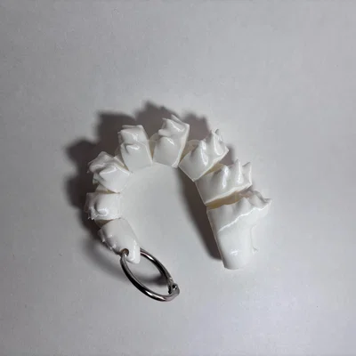 Mô hình Rồng khớp nối dễ thương (Print-In-Place)