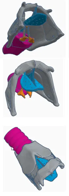 Mô hình thanh quản lắp ghép dễ in - Image 2
