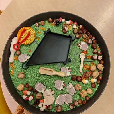 Mô hình khay đựng hình cánh diều (Kite) cho bé phát triển kỹ năng