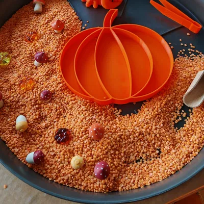 Khay 3D bí ngô - Đồ chơi giáo dục Montessori cho bé