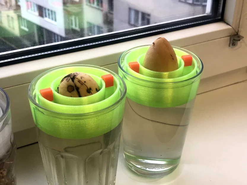 Phao nổi trồng hạt bơ (Avocado seed floater) - Image 4