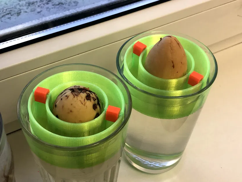 Phao nổi trồng hạt bơ (Avocado seed floater) - Image 6