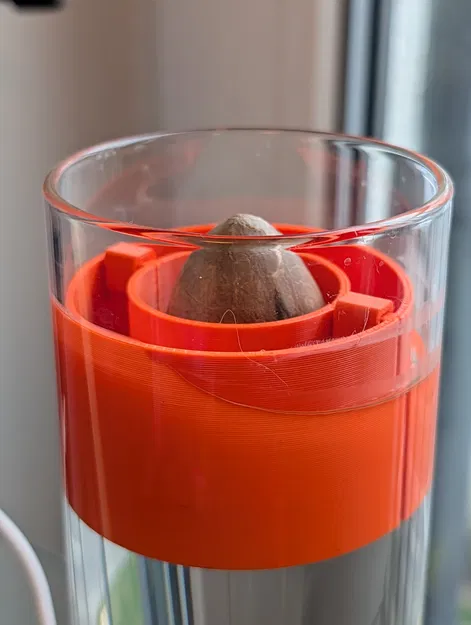 Phao Đỡ Hạt Bơ In 3D: Giải Pháp Ươm Hạt Bơ Hiệu Quả Và Tinh Tế - Image 1