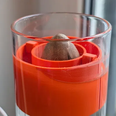 Phao Đỡ Hạt Bơ In 3D: Giải Pháp Ươm Hạt Bơ Hiệu Quả Và Tinh Tế