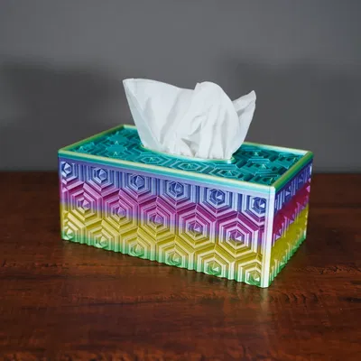 Bộ sưu tập vỏ hộp đựng khăn giấy 3D trang trí nhà cửa cực đẹp