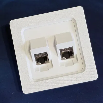 Mặt ốp tường kép cho cổng mạng RJ45 (Dual-Port Keystone Wall Plate)