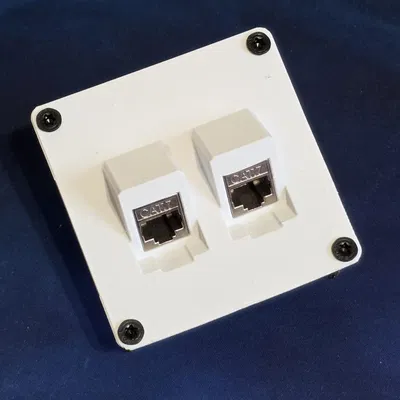 Mặt ốp tường kép cho cổng mạng RJ45 (Dual-Port Keystone Wall Plate)
