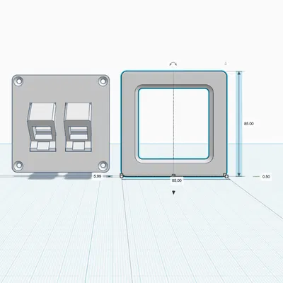 Mặt ốp tường kép cho cổng mạng RJ45 (Dual-Port Keystone Wall Plate)