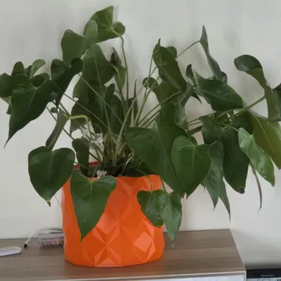 Chậu cây cảnh hình học in 3D: Thiết kế hiện đại cho không gian sống