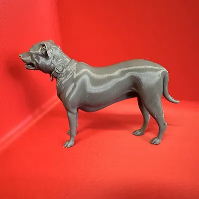 Mô hình chú chó American Staffordshire 3D - Piper độc đáo