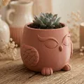 Chậu cây hình cú “Milo” ♡ - Đồ trang trí dễ thương - Thumbnail 2
