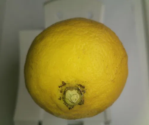 Mô hình quả chanh 3D chân thực từ công nghệ quét chuyên nghiệp - Image 2