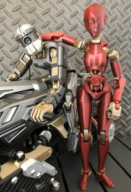 Bộ đầu mô hình Tetes de Carbon 13 F và M - Image 8